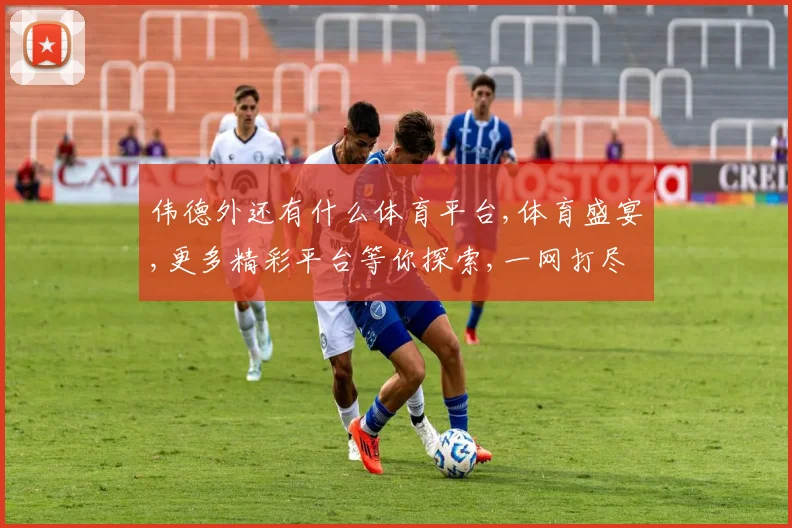 伟德外还有什么体育平台,体育盛宴,更多精彩平台等你探索,一网打尽