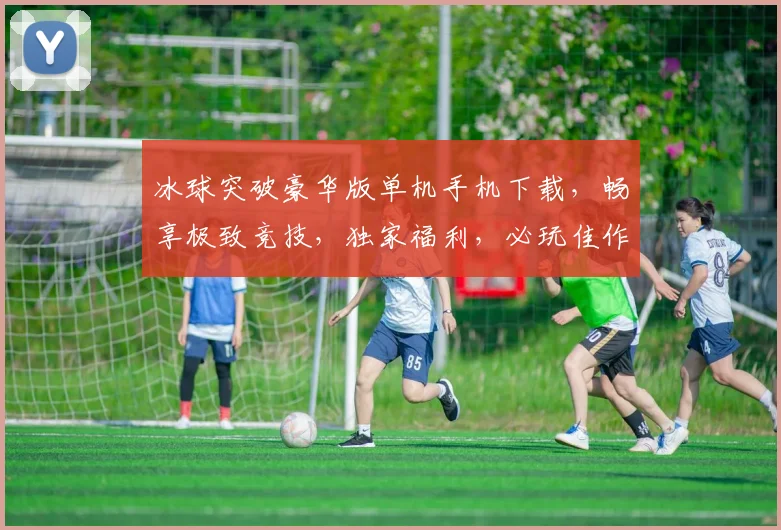 冰球突破豪华版单机手机下载，畅享极致竞技，独家福利，必玩佳作，不容错过