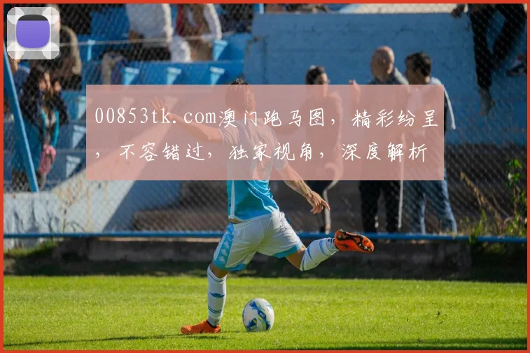 00853tk.com澳门跑马图，精彩纷呈，不容错过，独家视角，深度解析