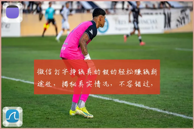 微信打字挣钱真的假的轻松赚钱新途径，揭秘真实情况，不容错过，快来体验