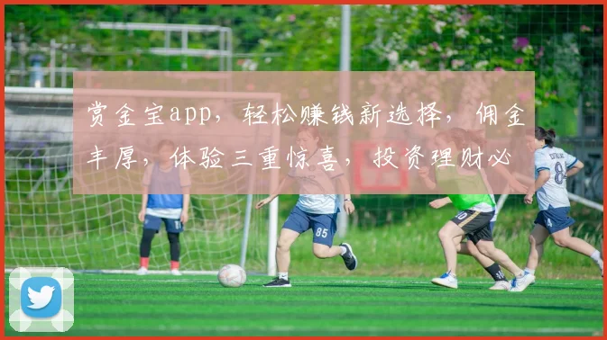 赏金宝app，轻松赚钱新选择，佣金丰厚，体验三重惊喜，投资理财必备