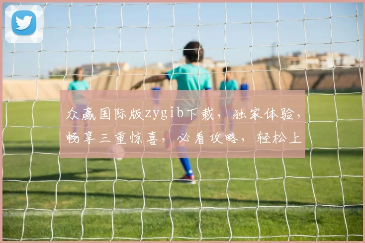 众赢国际版zygib下载，独家体验，畅享三重惊喜，必看攻略，轻松上手