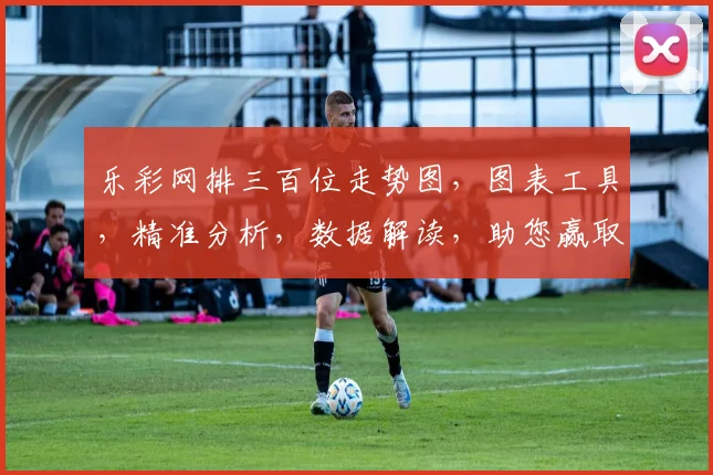 乐彩网排三百位走势图，图表工具，精准分析，数据解读，助您赢取大奖，三步掌握